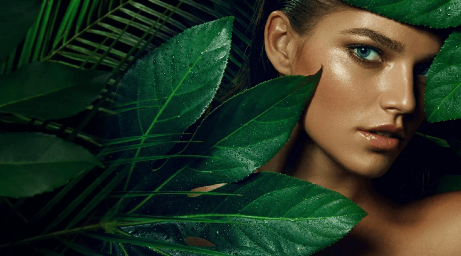HARMONY Nstitut De Beaute Saint Fulgent Soins Visage
